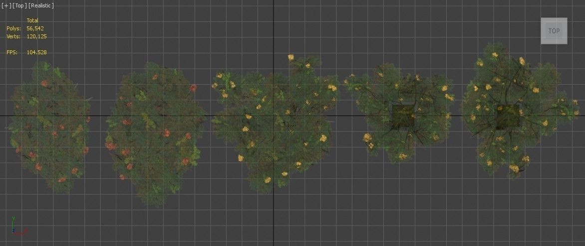 Acacia Tortillis Flower 5 Trees Low-poly 3D model_29