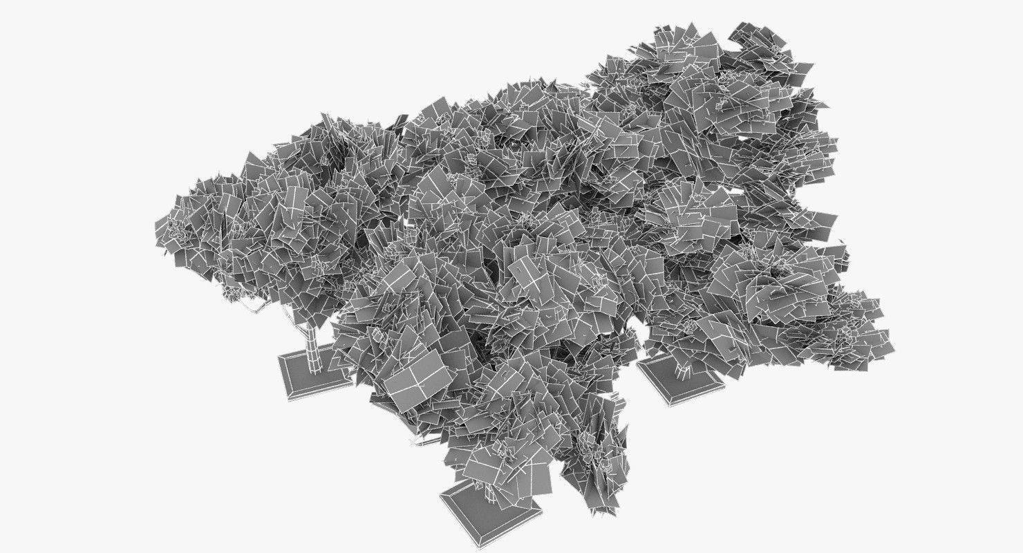 Acacia Tortillis Flower 5 Trees Low-poly 3D model_20