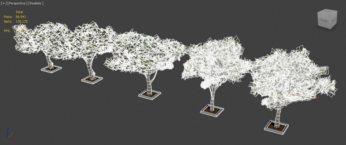 Acacia Tortillis Flower 5 Trees Low-poly 3D model_30