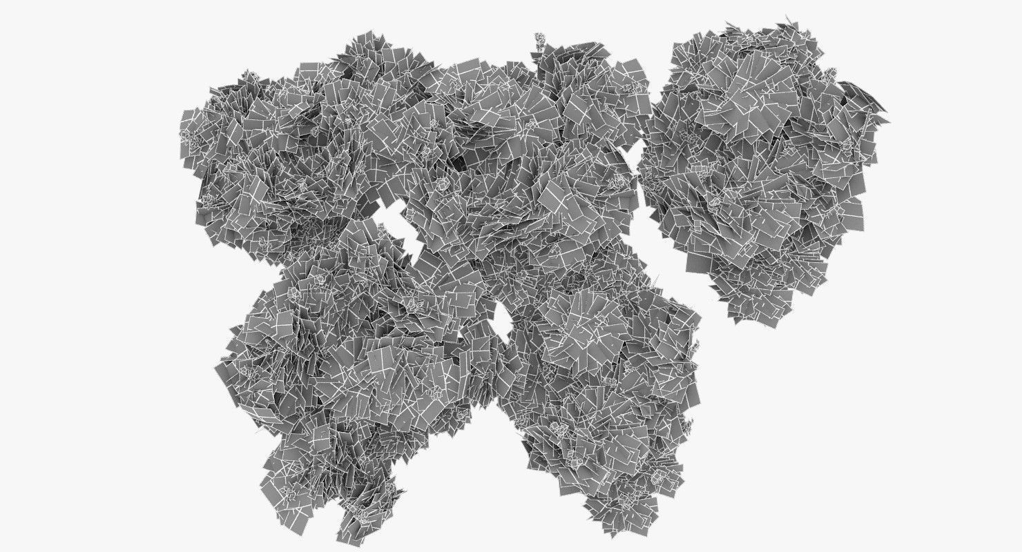 Acacia Tortillis Flower 5 Trees Low-poly 3D model_26