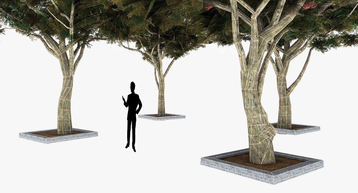 Acacia Tortillis Flower 5 Trees Low-poly 3D model_15