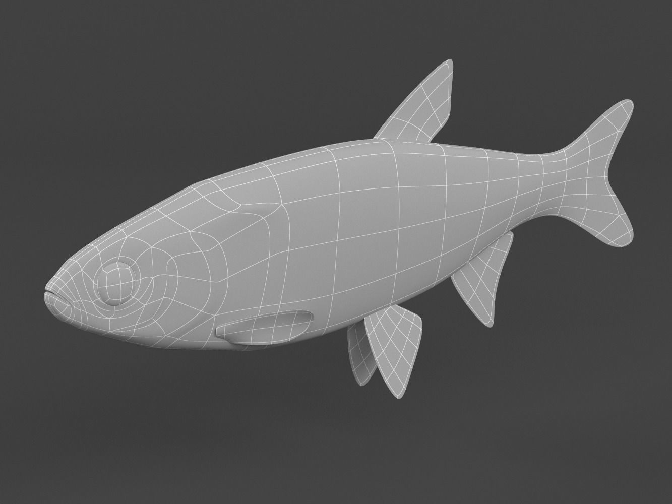 Fish Dace 3D model_7