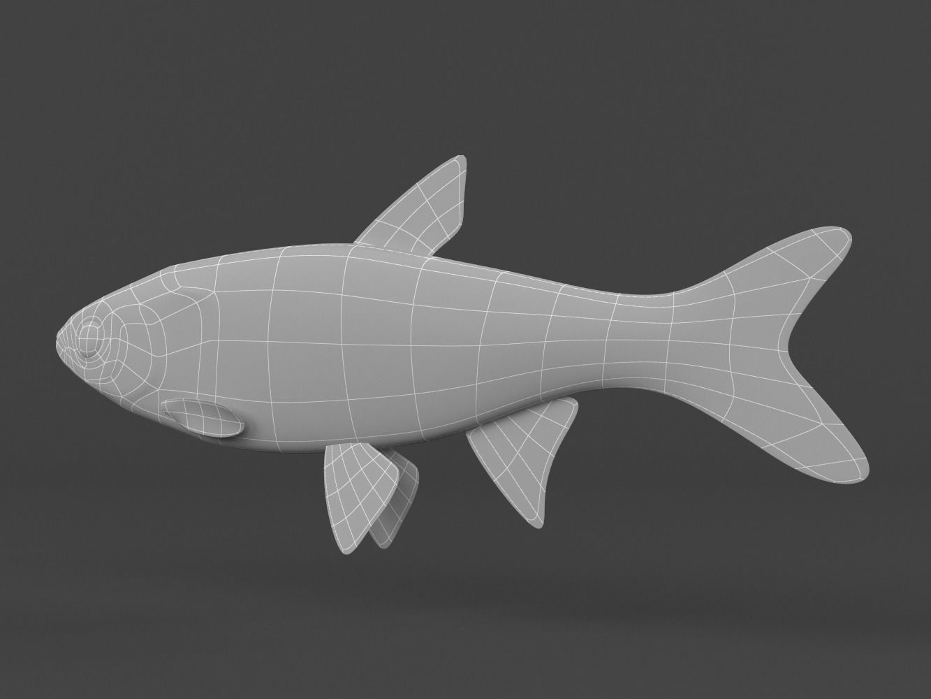 Fish Dace 3D model_8