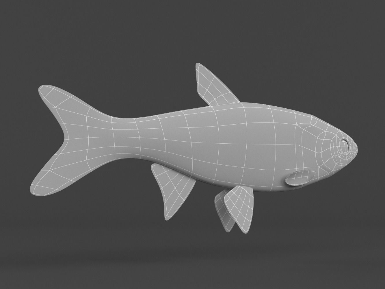 Fish Dace 3D model_9