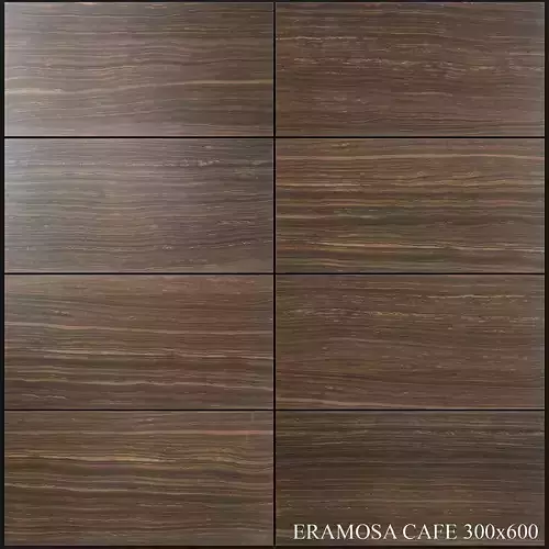 Yurtbay Seramik Eramosa Cafe 300x600 3D model