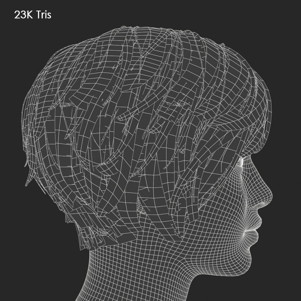 Hair - Pack A - Gen2 3D Model Collection_46