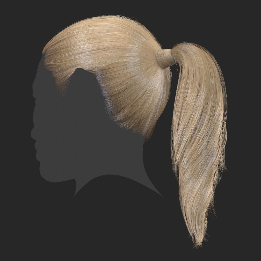 Hair - Pack A - Gen2 3D Model Collection_52