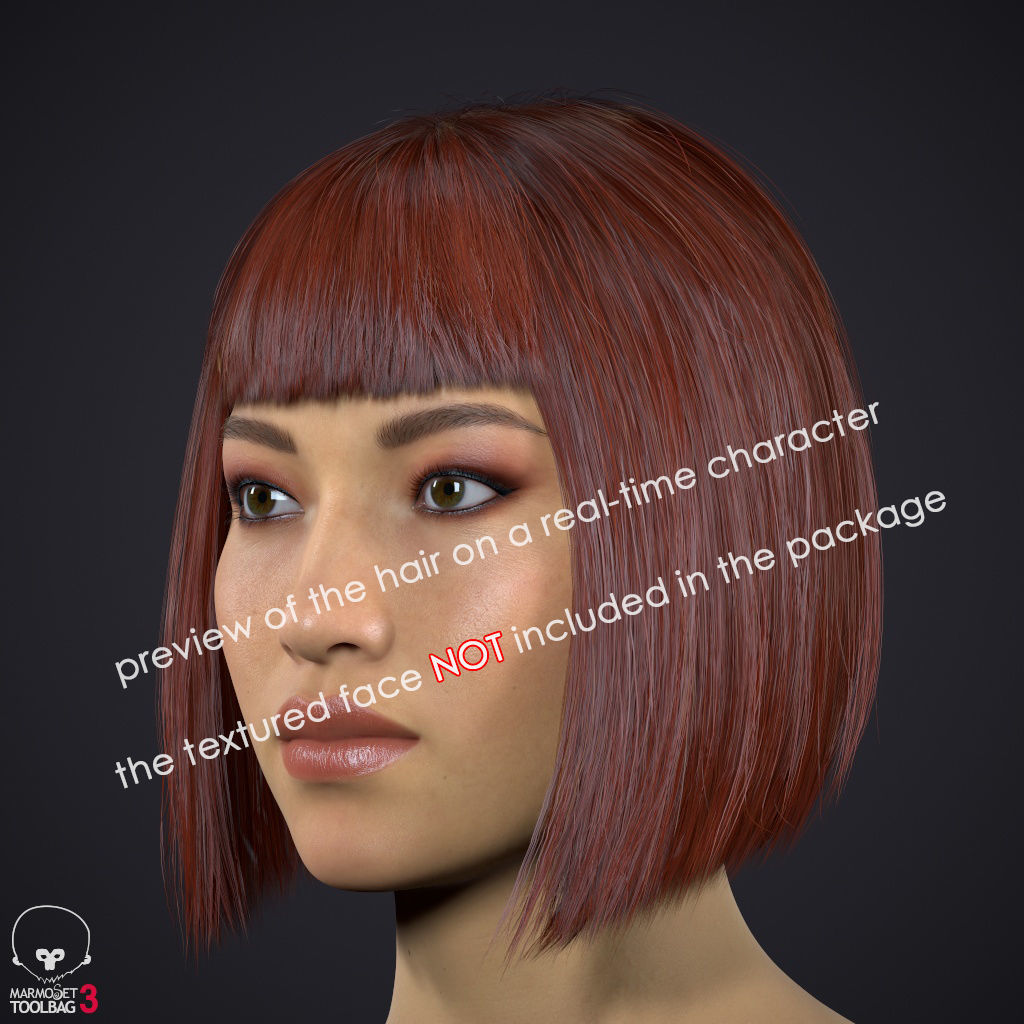 Hair - Pack A - Gen2 3D Model Collection_21