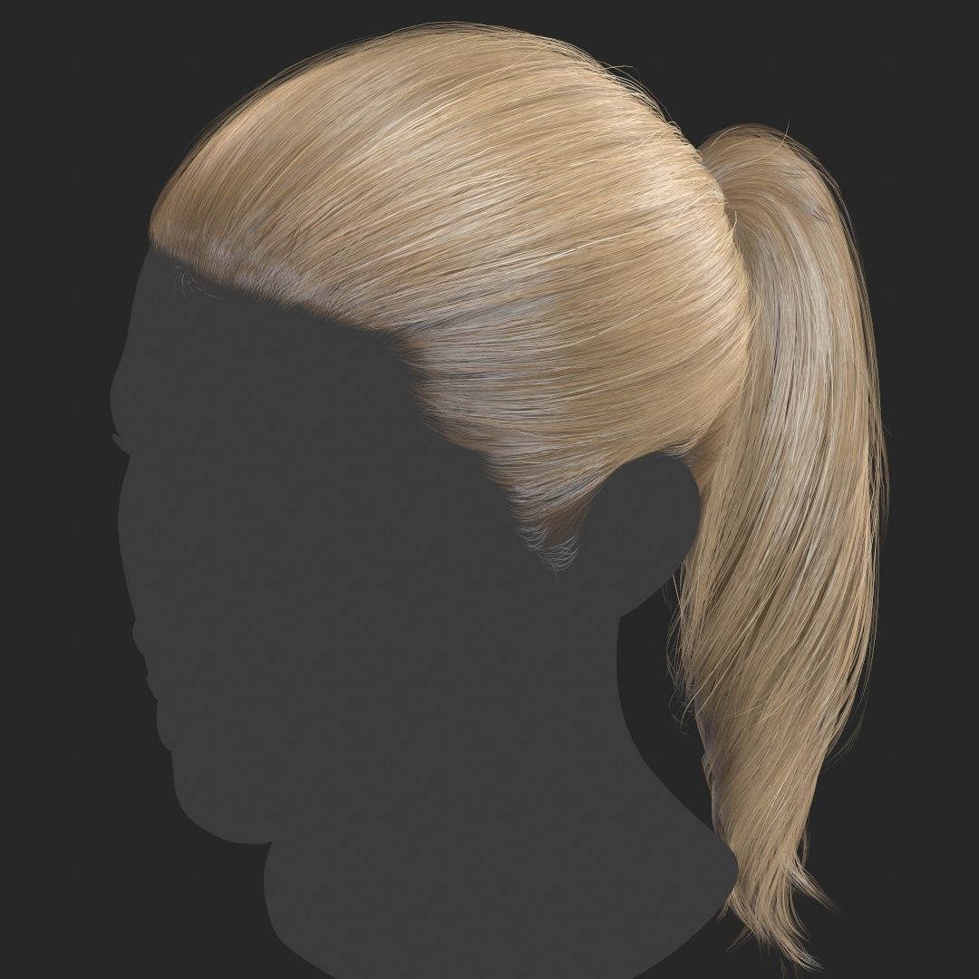 Hair - Pack A - Gen2 3D Model Collection_47