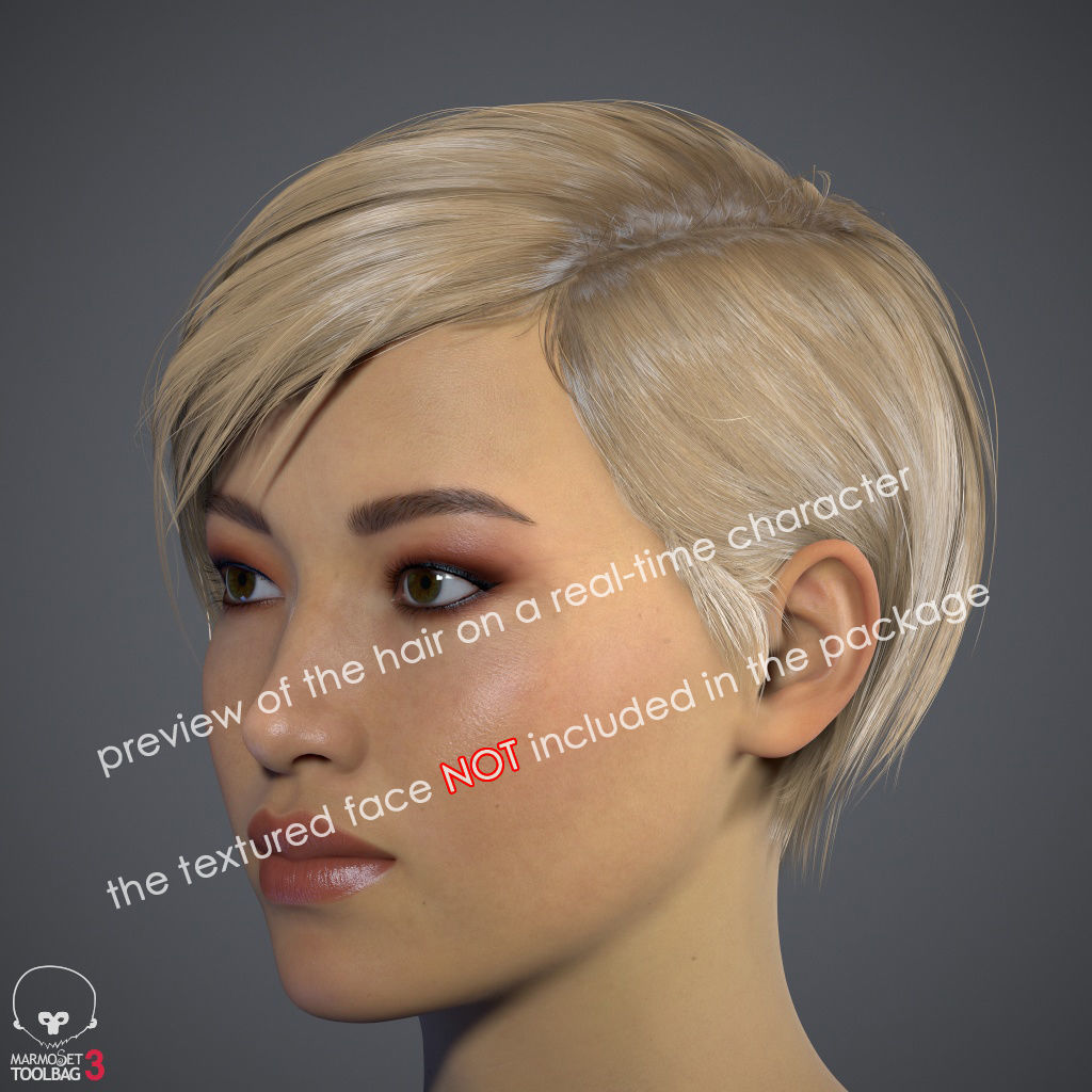 Hair - Pack A - Gen2 3D Model Collection_37