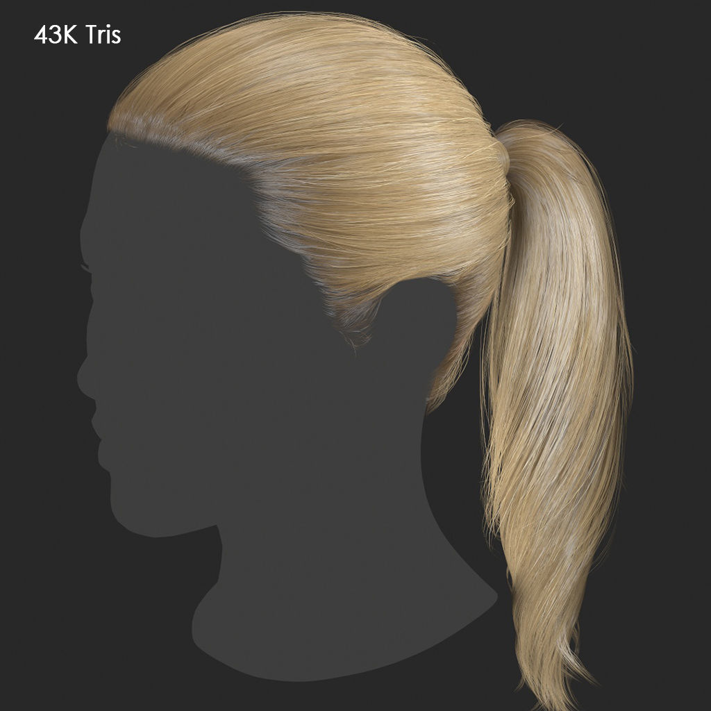 Hair - Pack A - Gen2 3D Model Collection_65