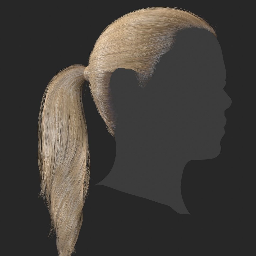 Hair - Pack A - Gen2 3D Model Collection_50