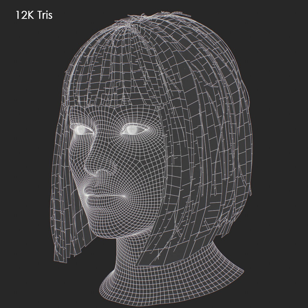 Hair - Pack A - Gen2 3D Model Collection_22