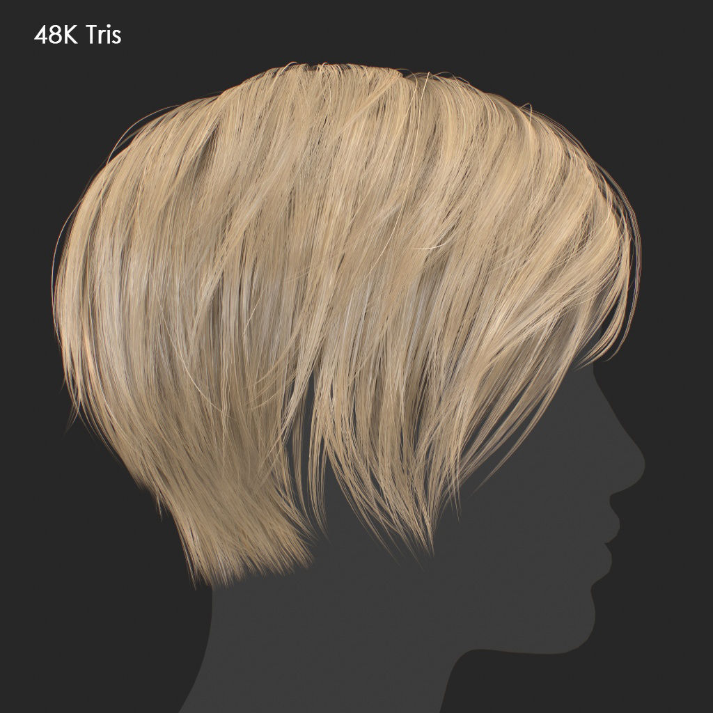 Hair - Pack A - Gen2 3D Model Collection_45