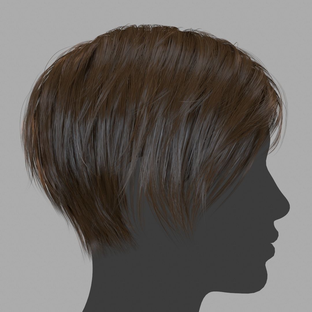 Hair - Pack A - Gen2 3D Model Collection_35