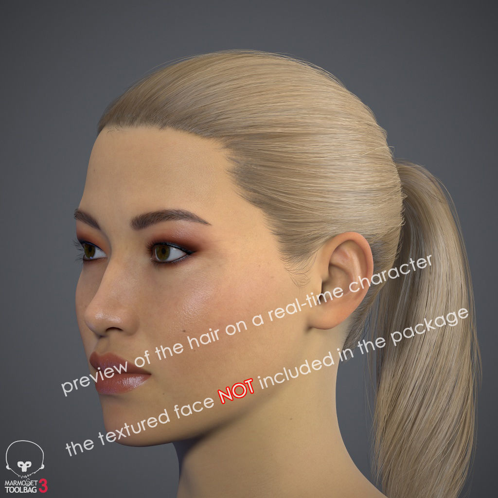 Hair - Pack A - Gen2 3D Model Collection_59