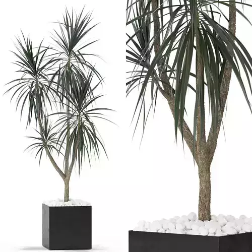 Plants collection 392