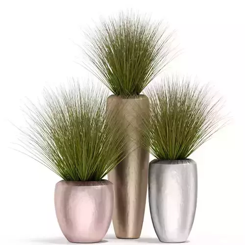 Plants collection 396