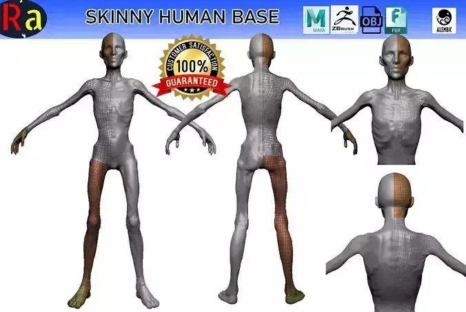 Skinny Human ZBrush Base  3D model