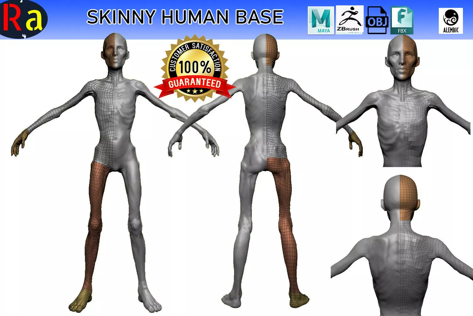 Skinny Human ZBrush Base  3D model_0