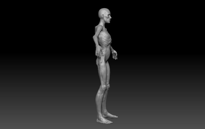 Skinny Human ZBrush Base  3D model_4