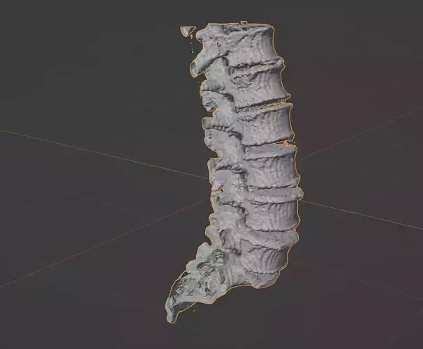 Lombaires spine Free 3D model