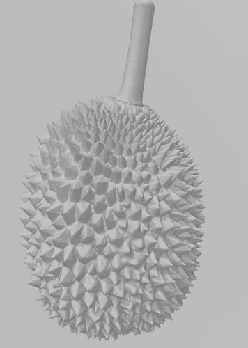 Durian 3D Model fruit 3D print model