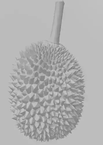 Durian 3D Model fruit