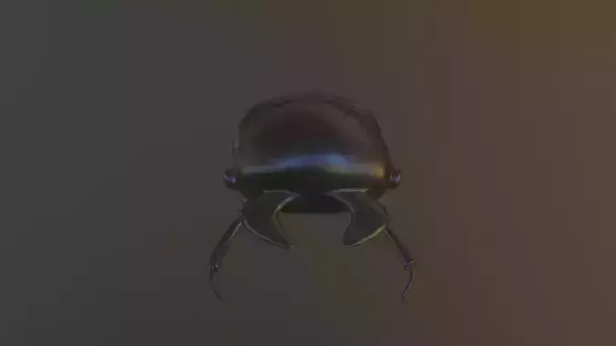 Black Bug Low-poly 3D model