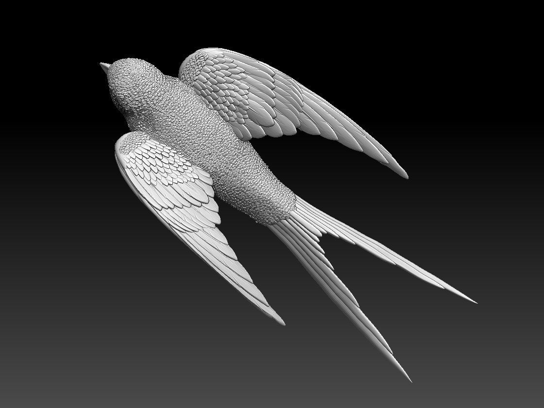 swallow sparrow 3D print model_17