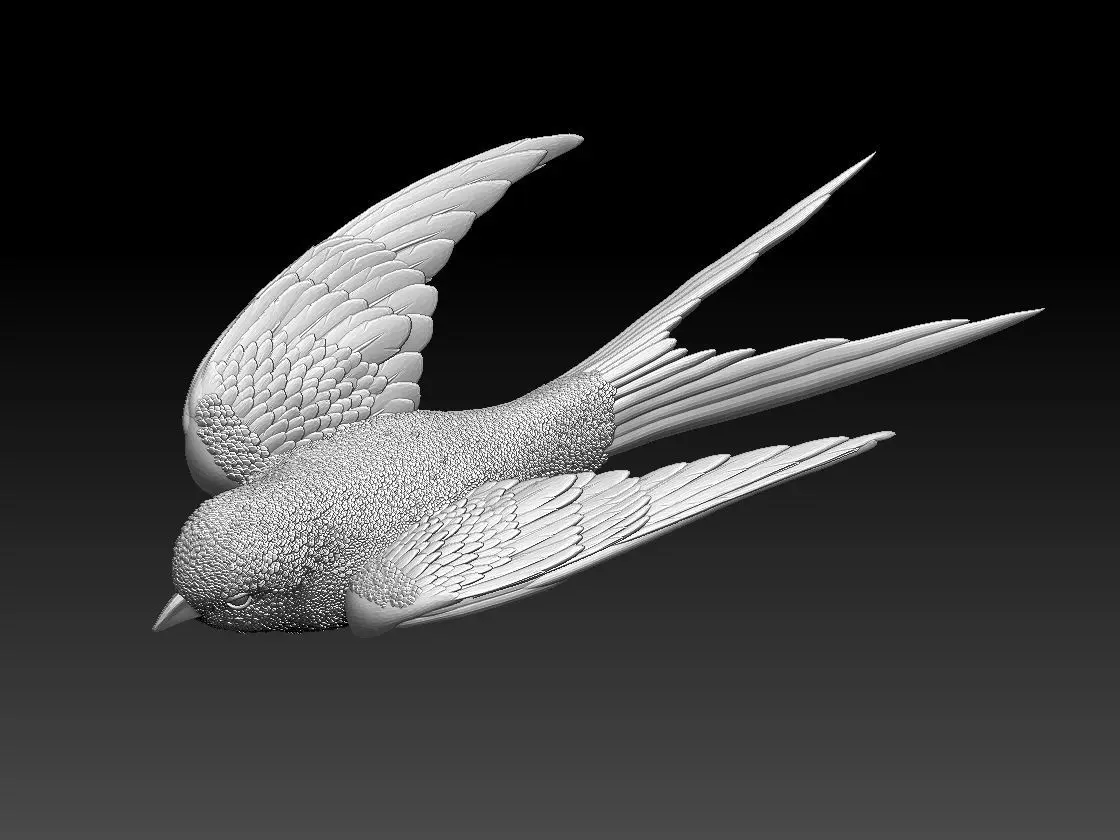 swallow sparrow 3D print model_0