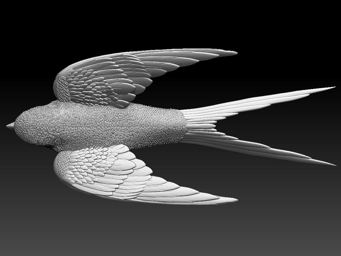 swallow sparrow 3D print model_23