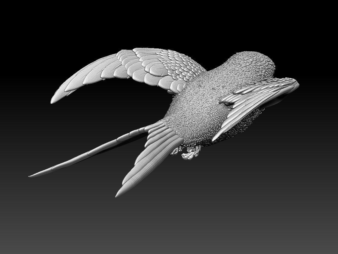 swallow sparrow 3D print model_46