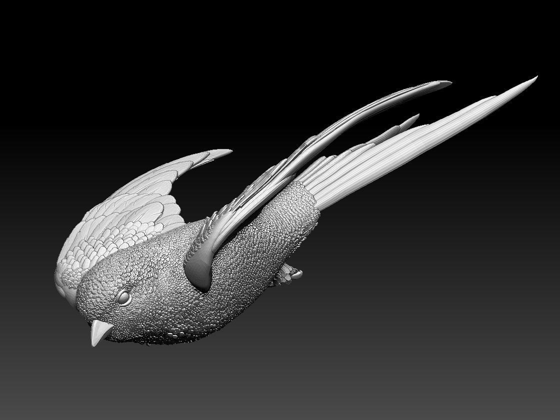 swallow sparrow 3D print model_16