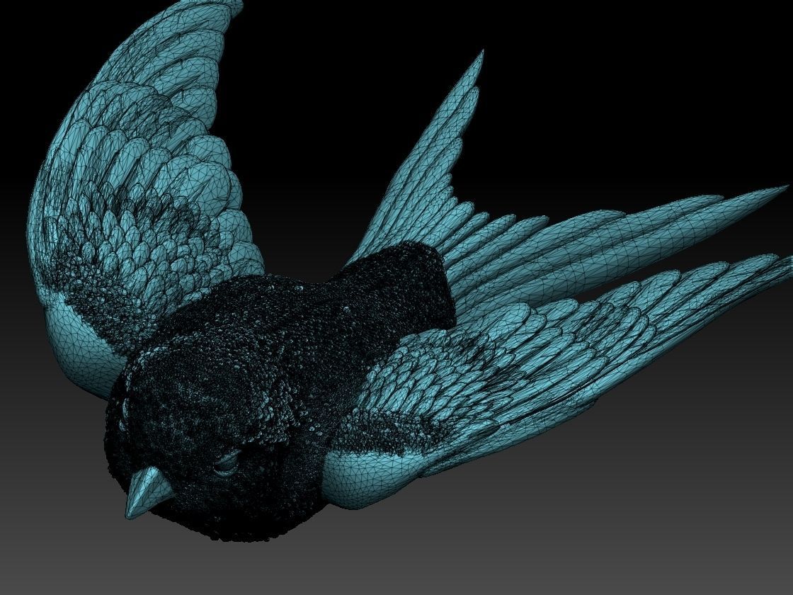 swallow sparrow 3D print model_38