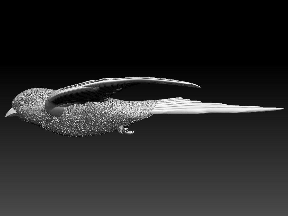 swallow sparrow 3D print model_14