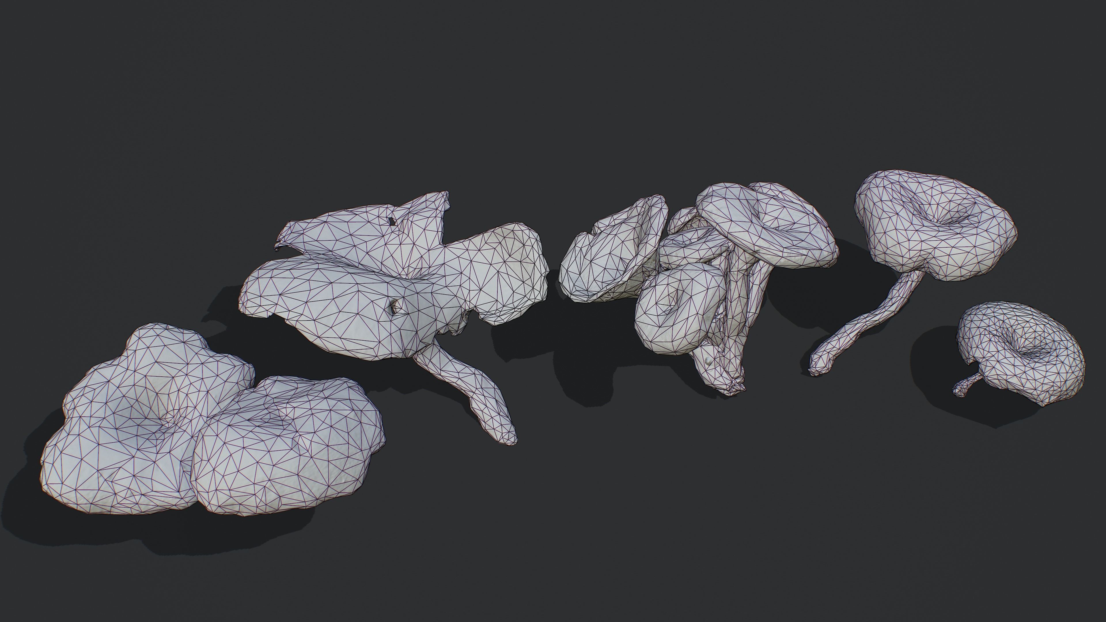 Wild Mushrooms - Lentinus Tigrinus Water Fungus Low-poly 3D model_7