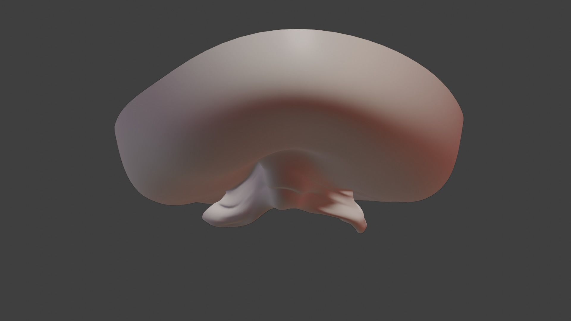 Anatomically correct vulva 3D model_4