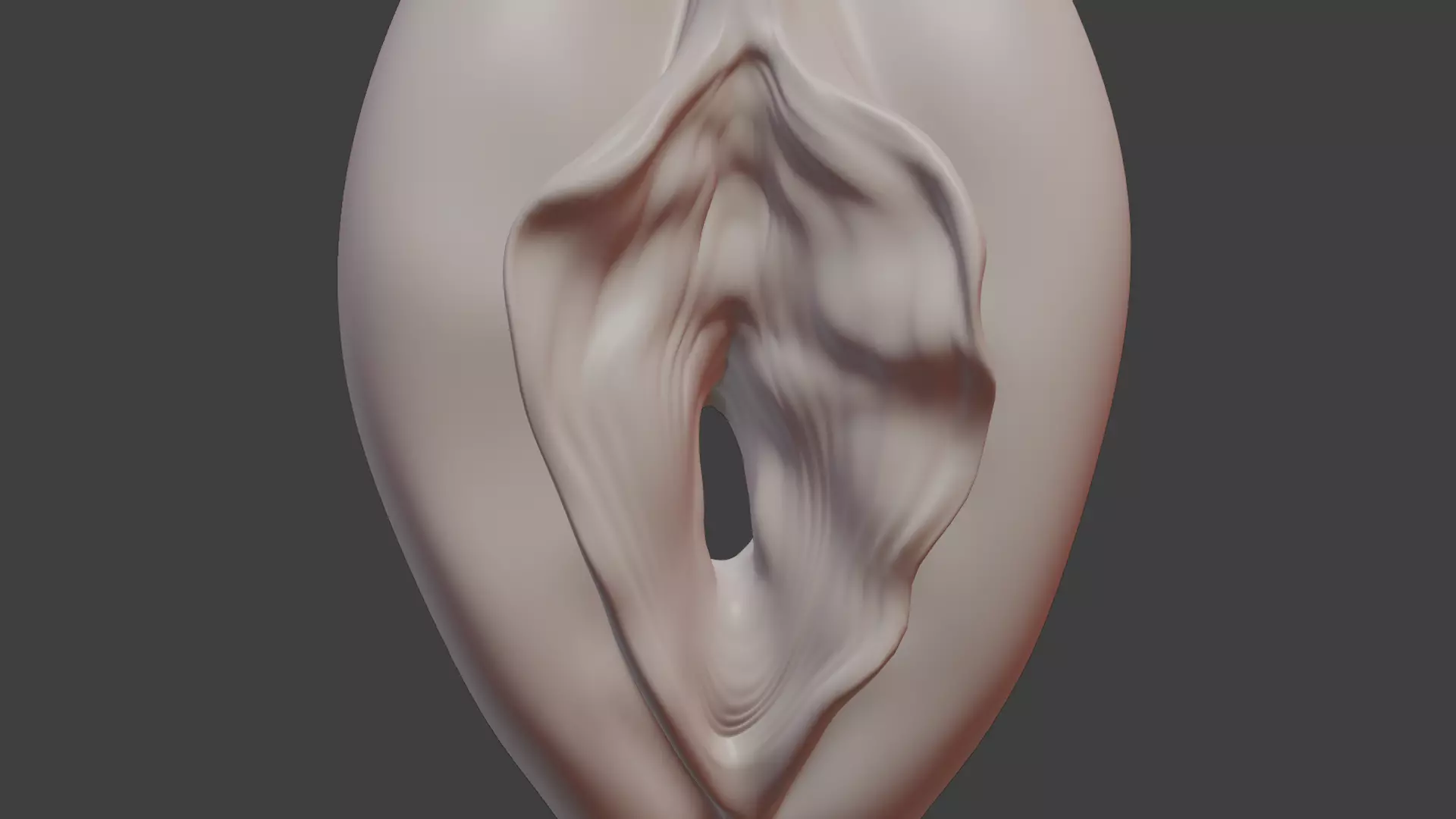 Anatomically correct vulva 3D model_0