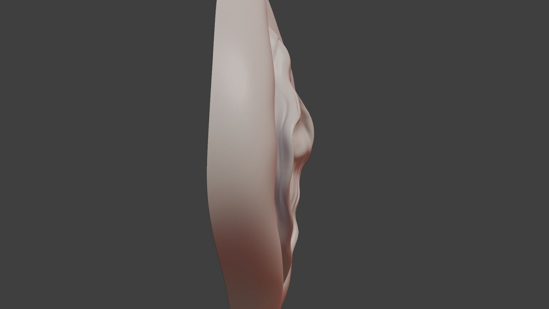 Anatomically correct vulva 3D model_1