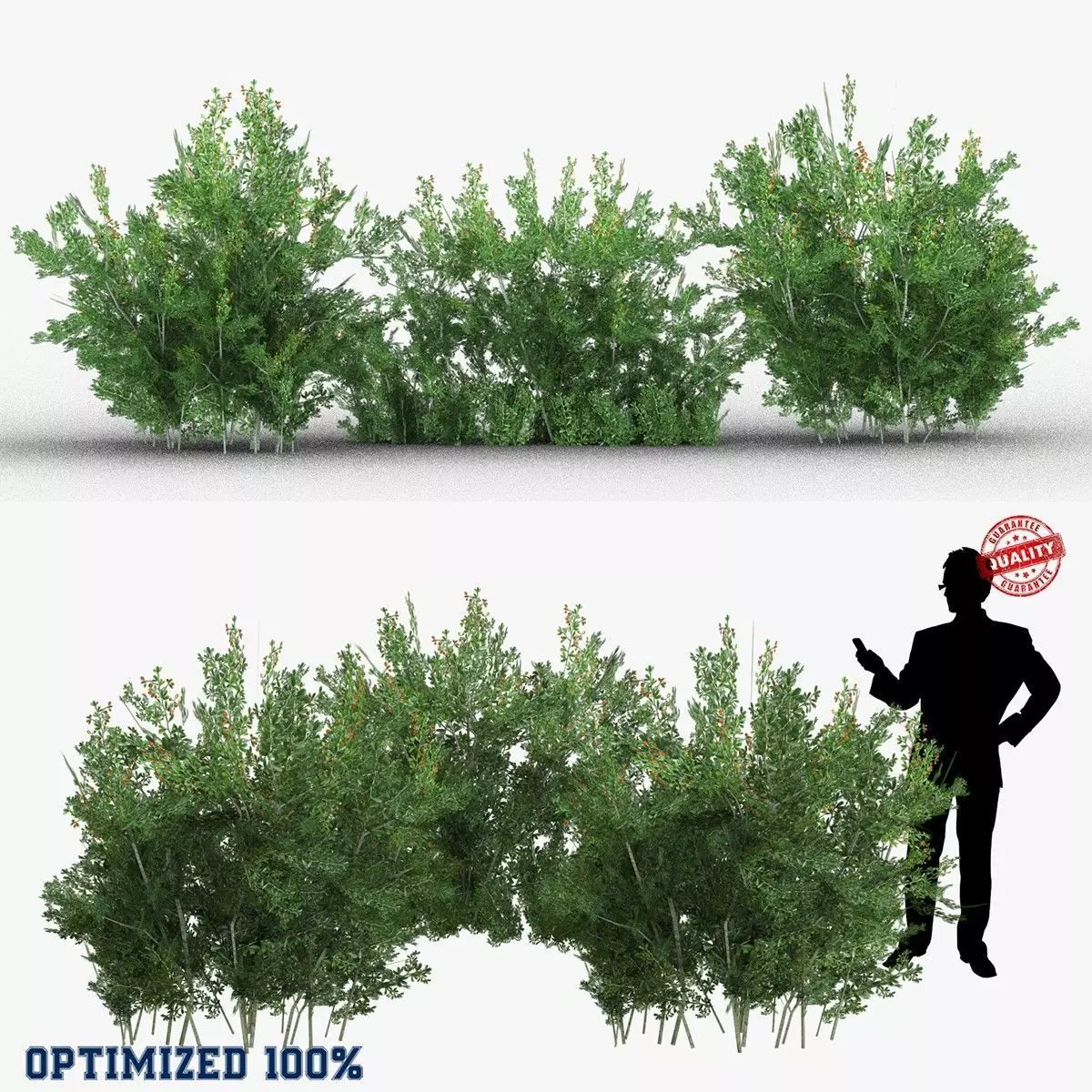 Lycium Shawii Shrubs Low-poly 3D model_0