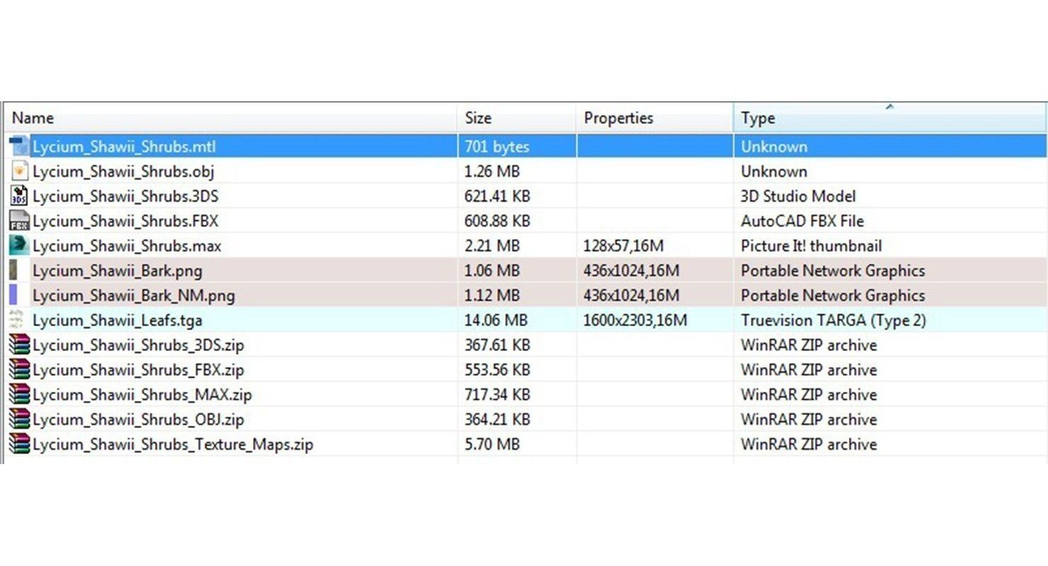 Lycium Shawii Shrubs Low-poly 3D model_9