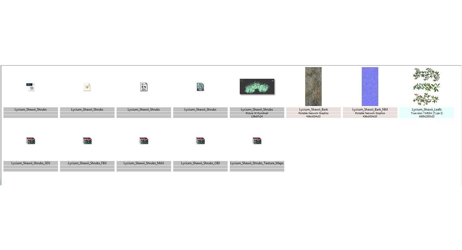 Lycium Shawii Shrubs Low-poly 3D model_8