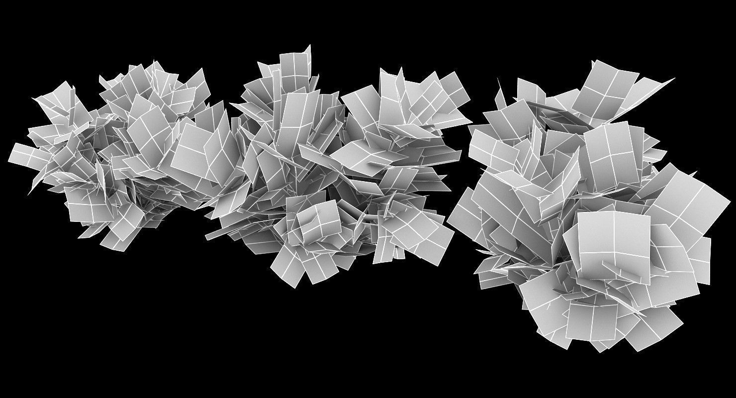 Acacia Ehrenbergiana Shrub Low-poly 3D model_5