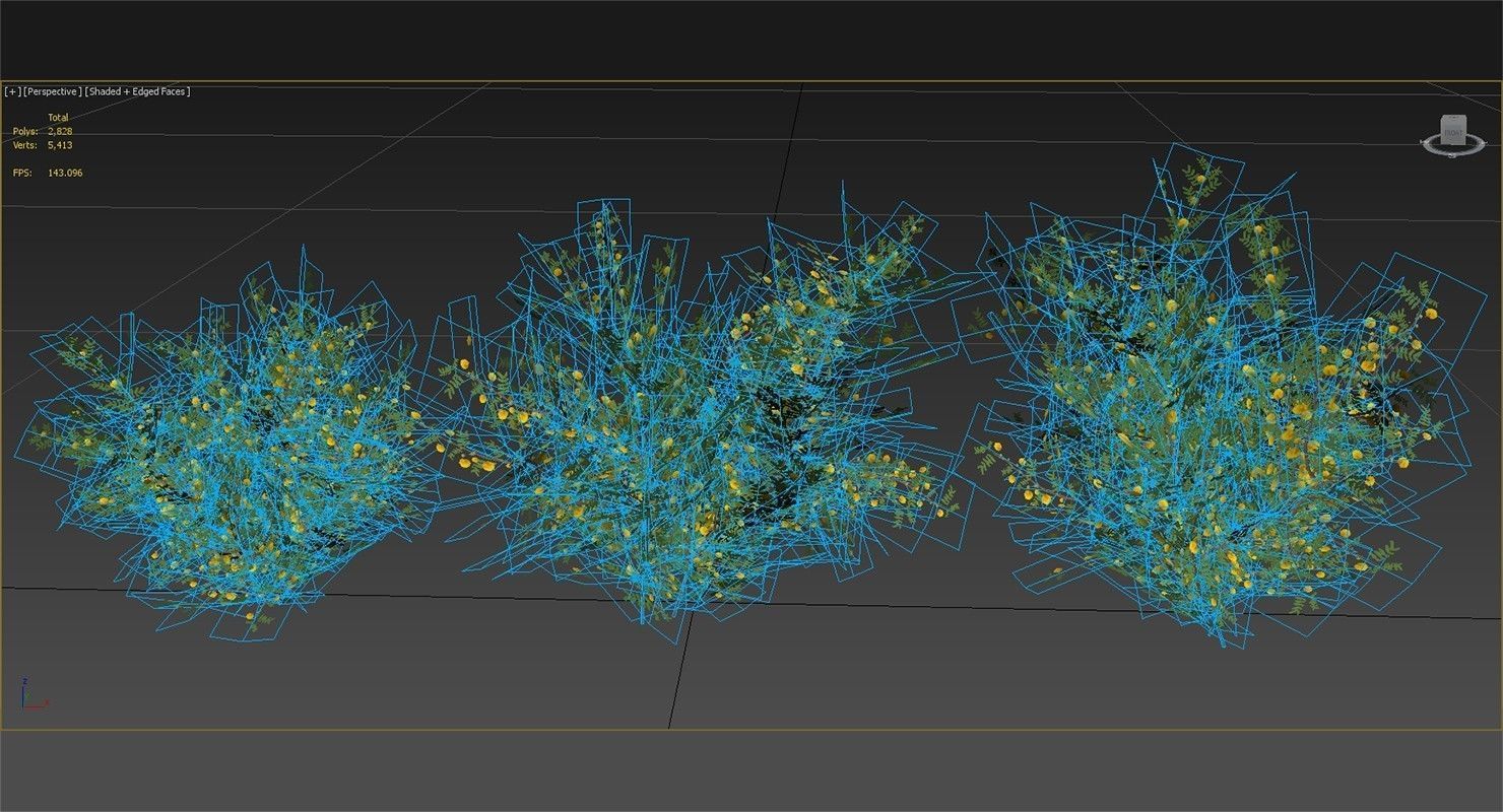 Acacia Ehrenbergiana Shrub Low-poly 3D model_10