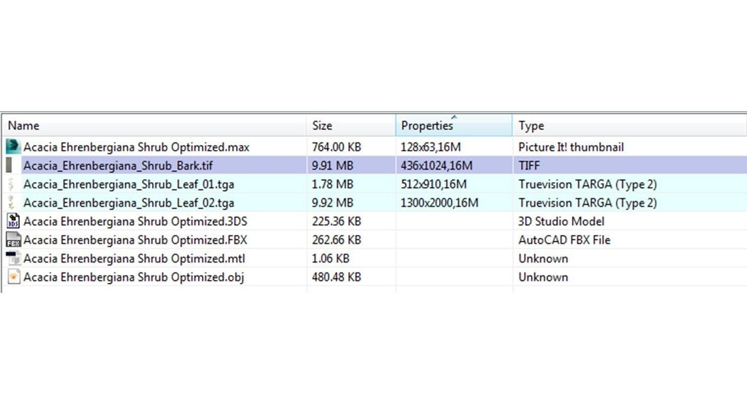 Acacia Ehrenbergiana Shrub Low-poly 3D model_13
