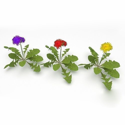 Dandelion Flower Low-poly 3D model