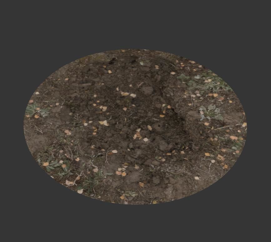 Ultra realistic Dirt pit Scan Low-poly 3D model_11