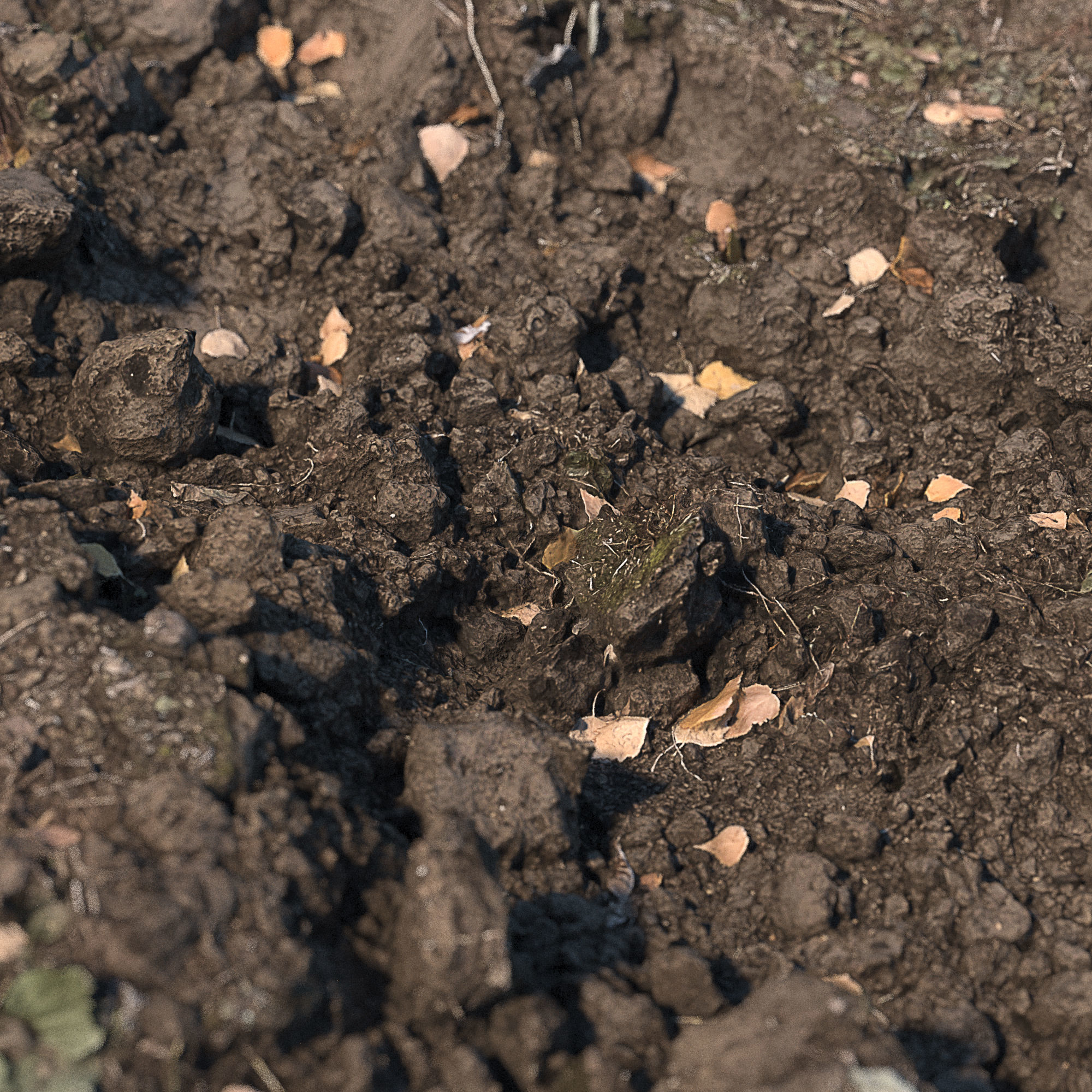 Ultra realistic Dirt pit Scan Low-poly 3D model_3