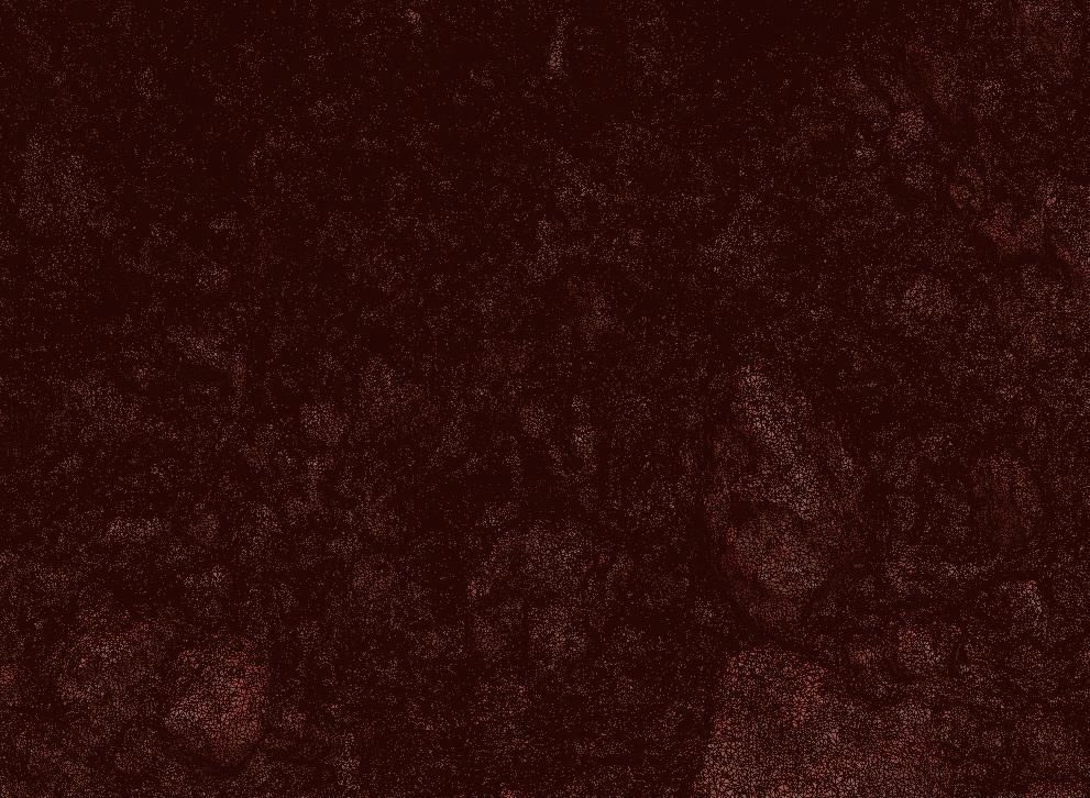 Ultra realistic Dirt pit Scan Low-poly 3D model_25